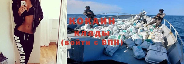 молекула духа Нягань