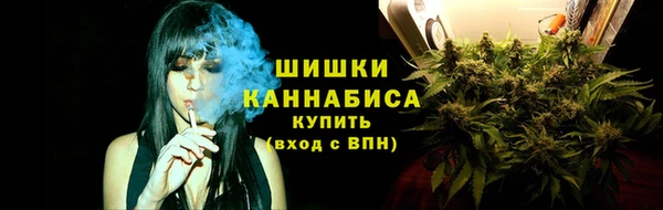 молекула духа Нягань