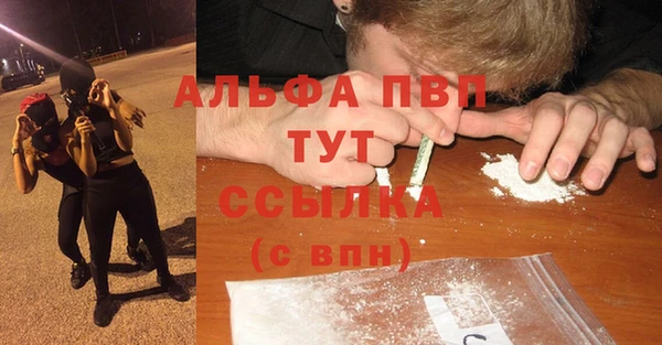 молекула духа Нягань