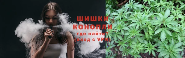молекула духа Нягань