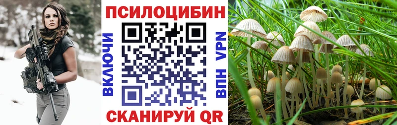 Галлюциногенные грибы MAGIC MUSHROOMS Кадников