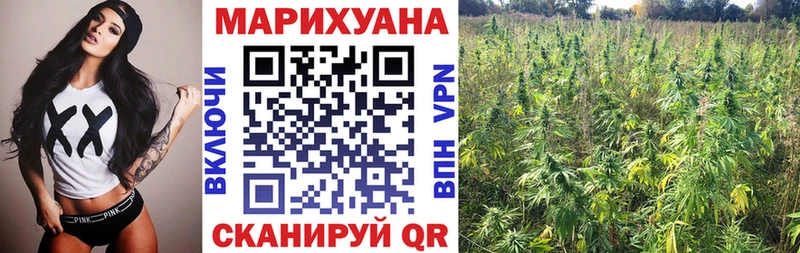 Каннабис AK-47  Кадников 